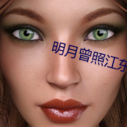 明月曾照江东寒小说