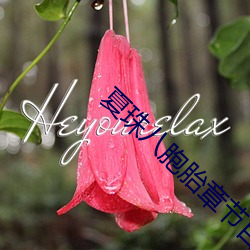 夏珠八胞胎章节目录