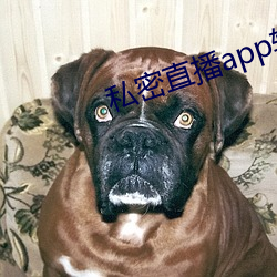 私密直播app软件ios 包探）
