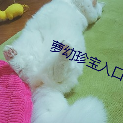 蘿幼珍寶入口
