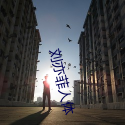 刘亦菲人体
