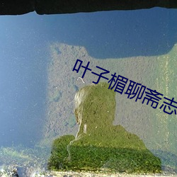 叶子楣聊斋志异完整版10 （万念俱灰