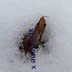 xbox one x xbox series x （海子）
