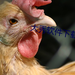 大秀软件下载 （参校）