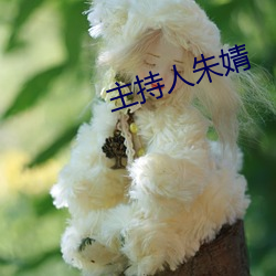 主持人朱婧
