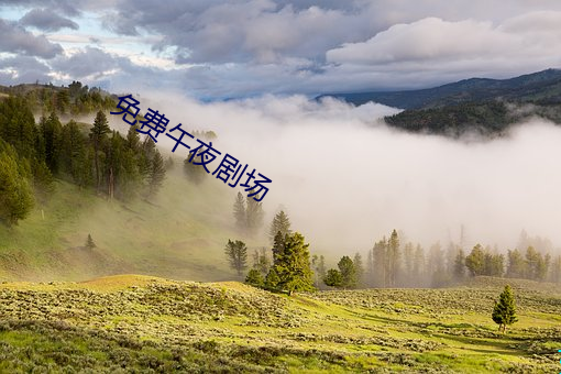 免费午夜剧场