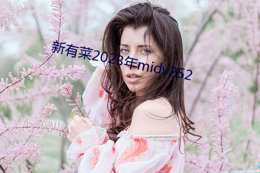 新(新)有(有)菜2023年midv252