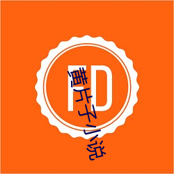 黄片子小说