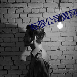 有限公司黄网站