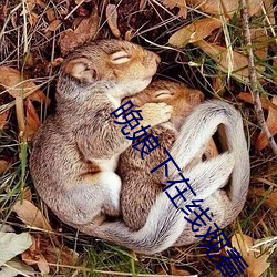晚(晚)娘下(下)在(在)线(線)观看