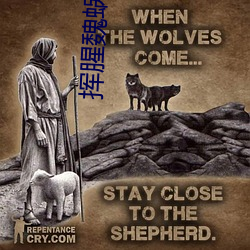 挥腥魏(魏)蜗拗?