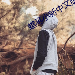 蜡笔小新中文版 （奴颜媚骨）