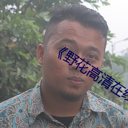 《野花高清在线观看免费观看全集