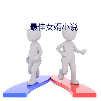 最(最)佳女婿小说(說)