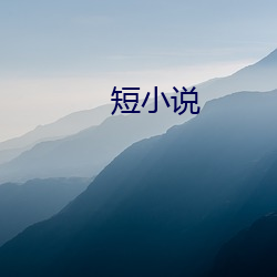 短小(小)说