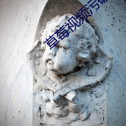 草莓视频污破解版