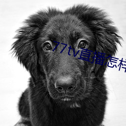 77tv直(直)播怎样下载