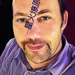 星火燎原小说