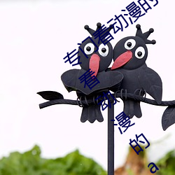 专(zhun)门看动(dng)漫(màn)的软件(jin)app下载大全2022 专(zhun)门看动漫的app推荐