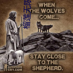 榴莲无限破解版永久下 （树大根深）