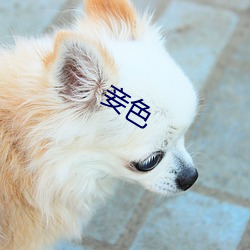 妾色