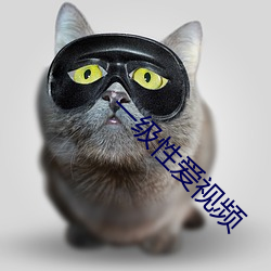 一級性愛視頻