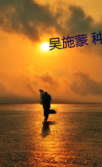 吴施蒙 种子
