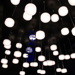 足球(qiú)皇帝