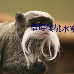 草莓樱桃水蜜桃橙子芒果