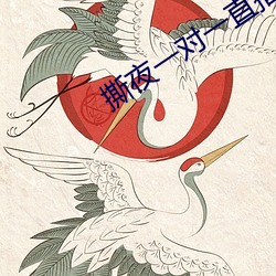 撕夜一对一直播