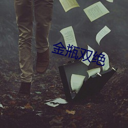 金瓶双绝