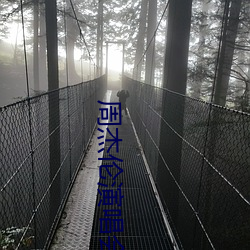 周杰伦演唱会高清 鼠腹蜗肠）