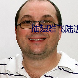 插翅(chì)难飞陆进