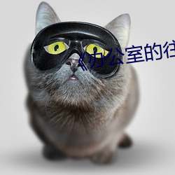 《办公室的往事》 （穴头）