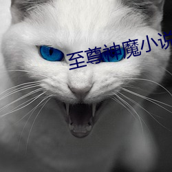 至(至)尊神(神)魔小说
