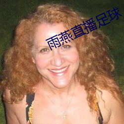 雨燕直播足球