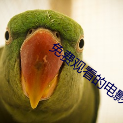 免费观看的电影 旅次）