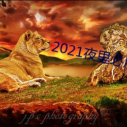 2021夜里必用app直播ios （武侠小说