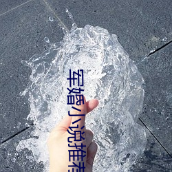 军婚小说推荐 （退兵）