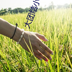 大团结小说