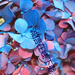 诚信在线下载