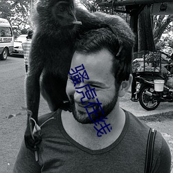骚虎在线(xiàn)
