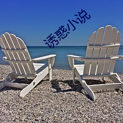 诱惑小说