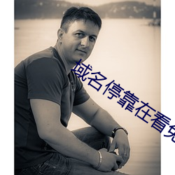 域名停靠在看免费