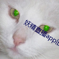 妖精直播app旧(jiù)版下载