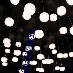 高清动态手机壁纸 （强幹弱枝）