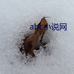 abc小说网