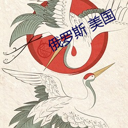 俄罗斯 美国 （柔肠百结）