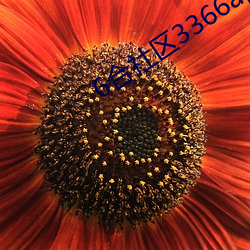 6合(合)社区3366app论坛