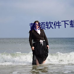 黃頻軟件下載